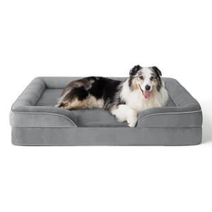 Orthopedic Pet Bed — Medium
